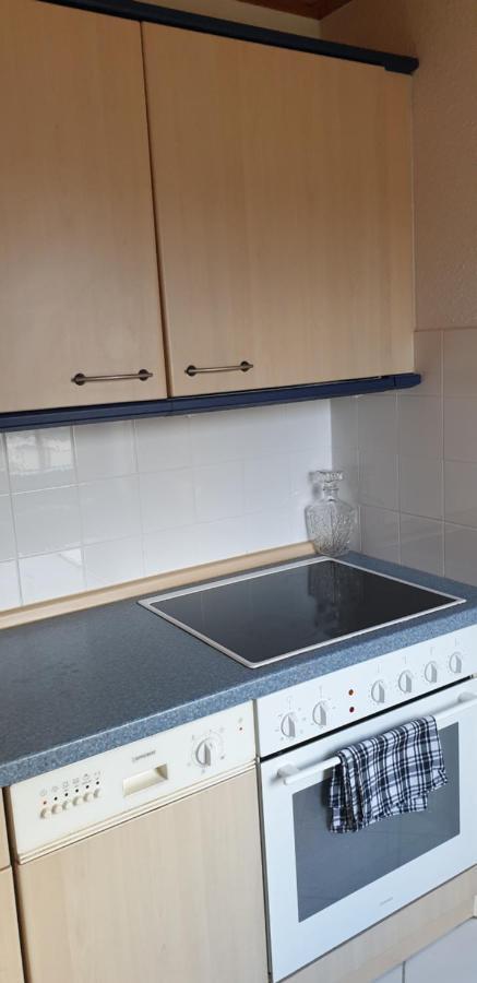 Ferienwohnung Stadtvilla Magdeburg Ngoại thất bức ảnh